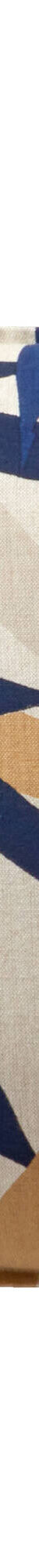 Coussin imprimé feuilles (beige / marine) Coussin imprimé feuilles (beige / marine)